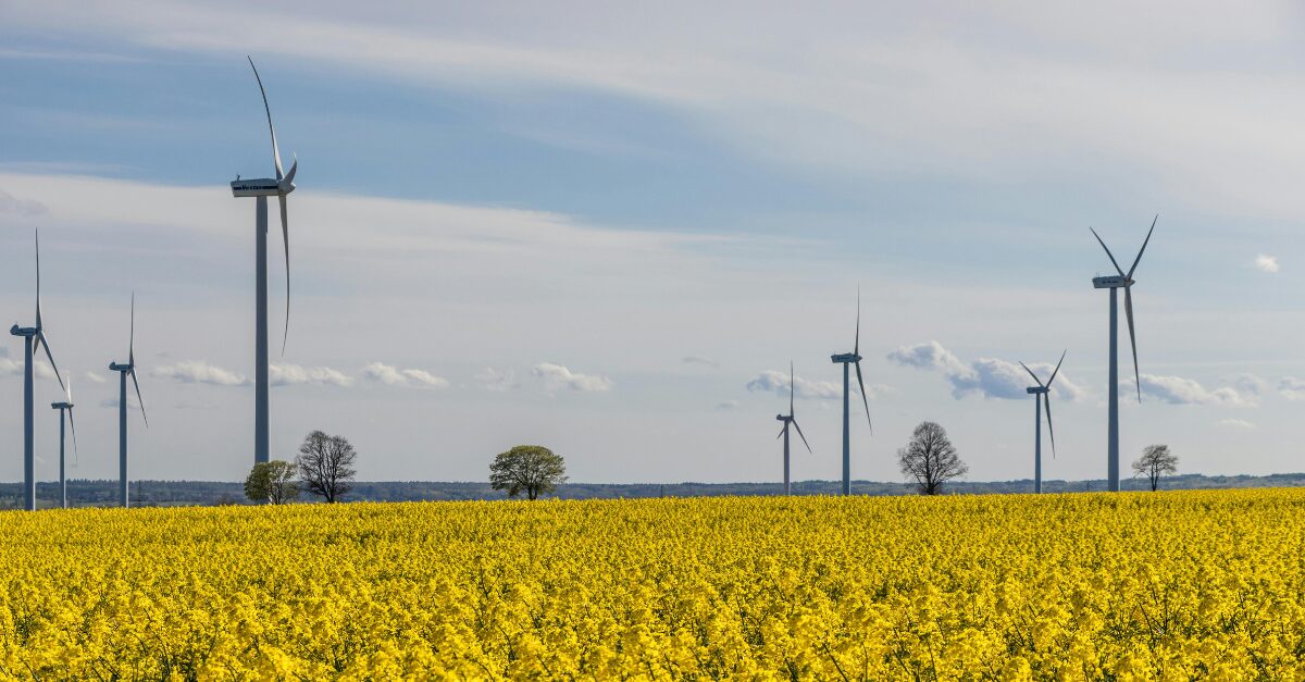 Smarter Energy Procurement